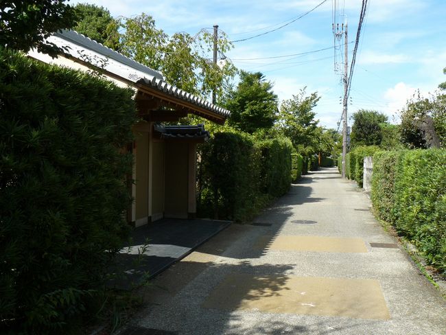 �����S��