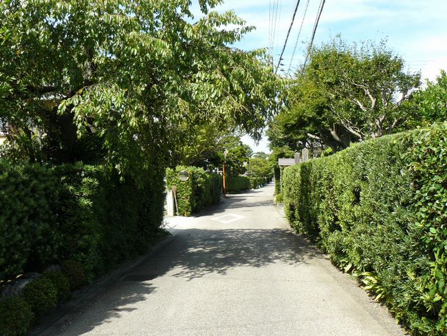 �����S��