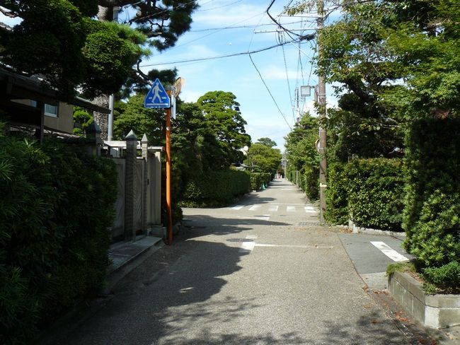 �����S��