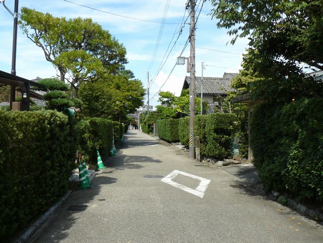 �����S��