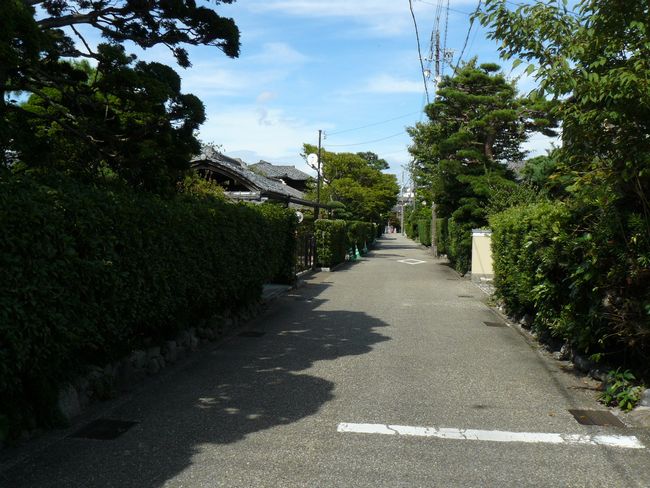 �����S��