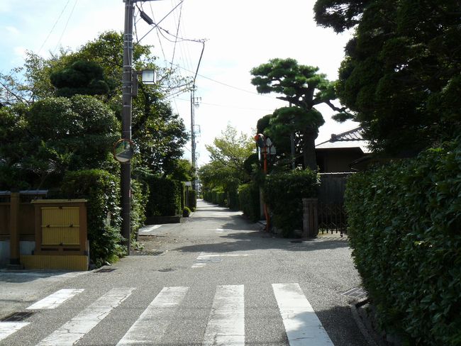 �����S��