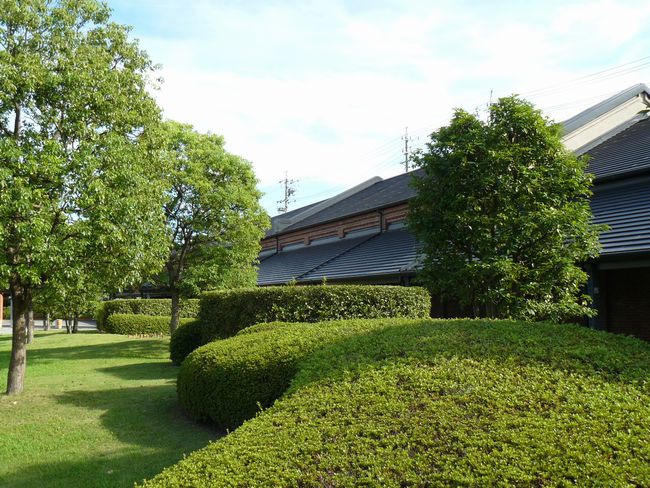 �������a�я���x�X