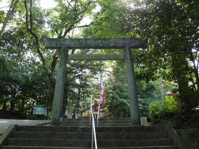 �{���钷�m�{