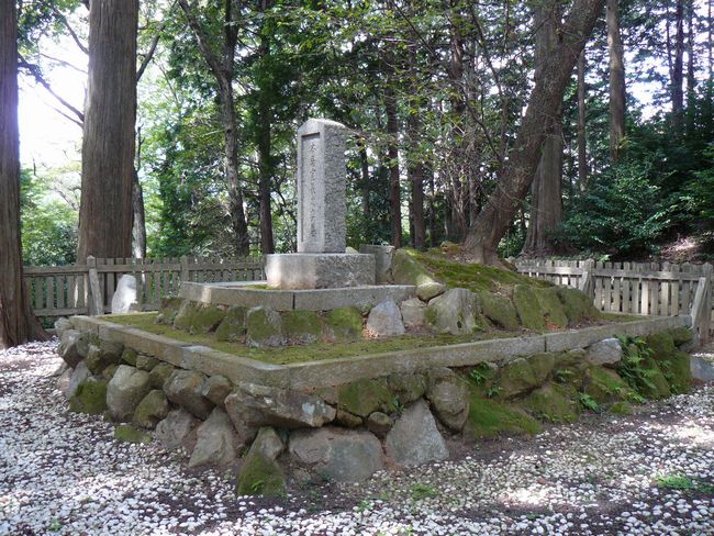 �{���钷����