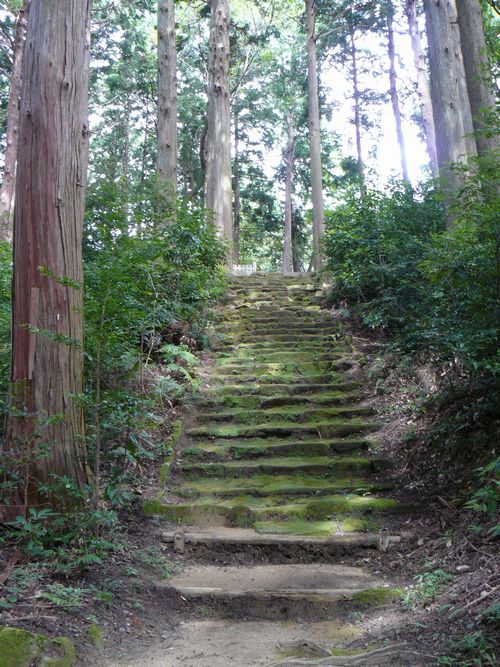 �{���钷����