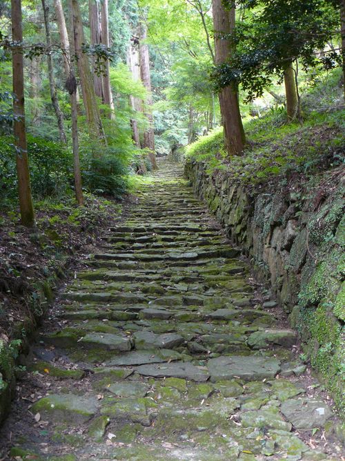 �{���钷����