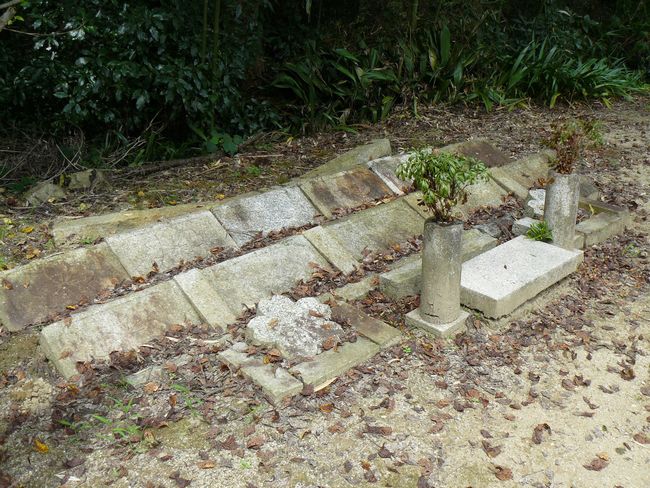 �{���钷����