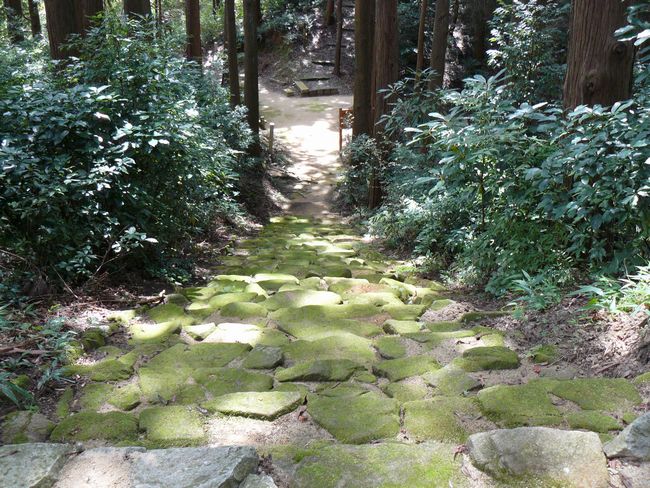 �{���钷����