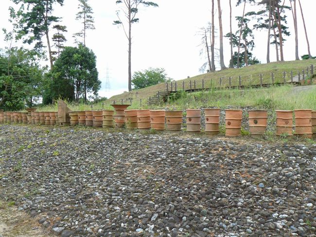 ��ˌÕ��P����