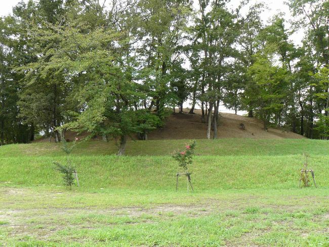 ��ˌÕ��Q����