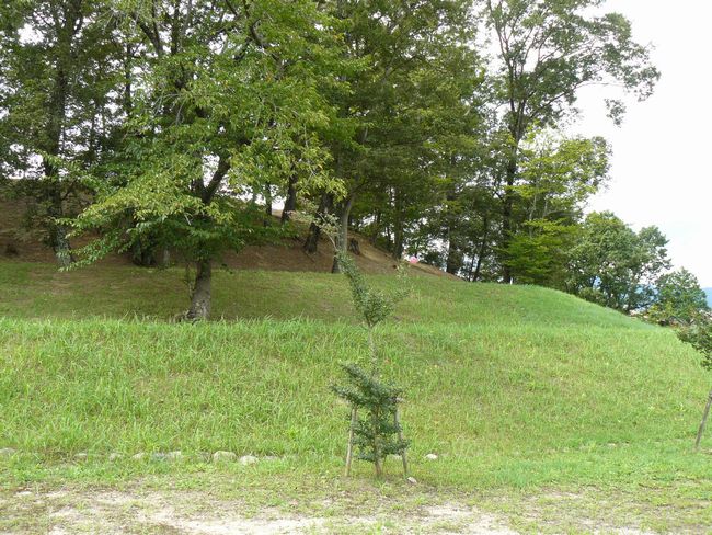 ��ˌÕ��Q����