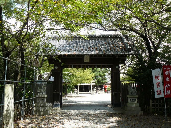 ���_�_��