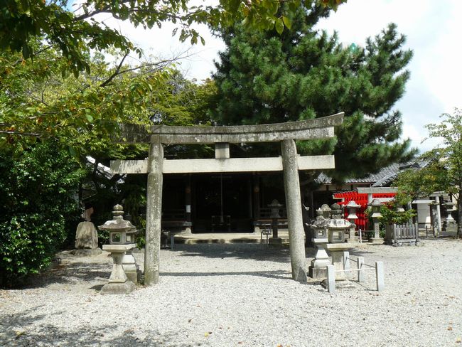 ���_�_��