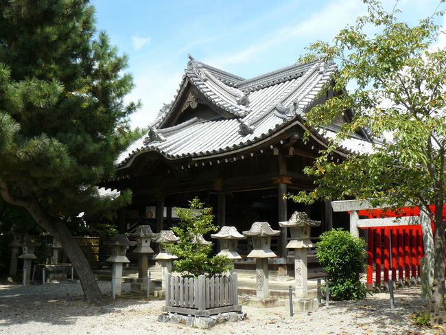 ���_�_��