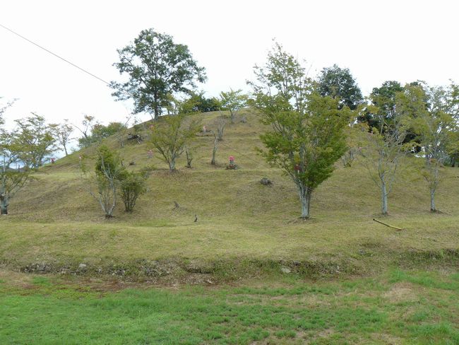 �����Õ�