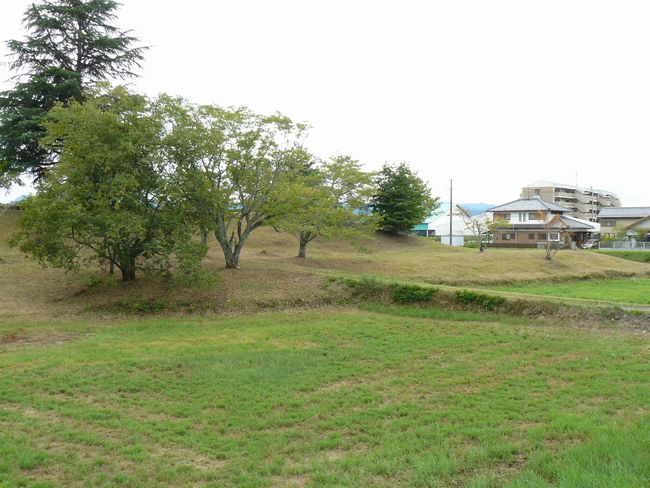 �����Õ�