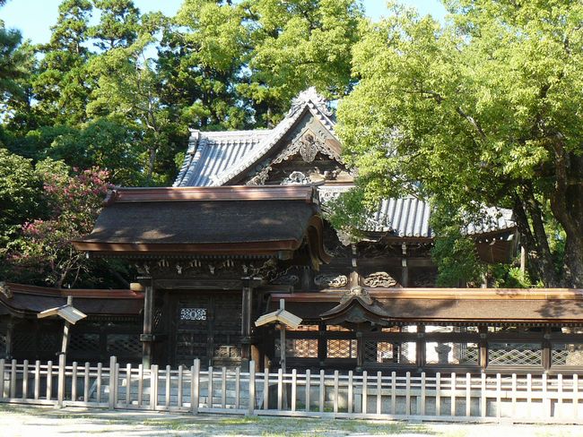 ��_�q���E����