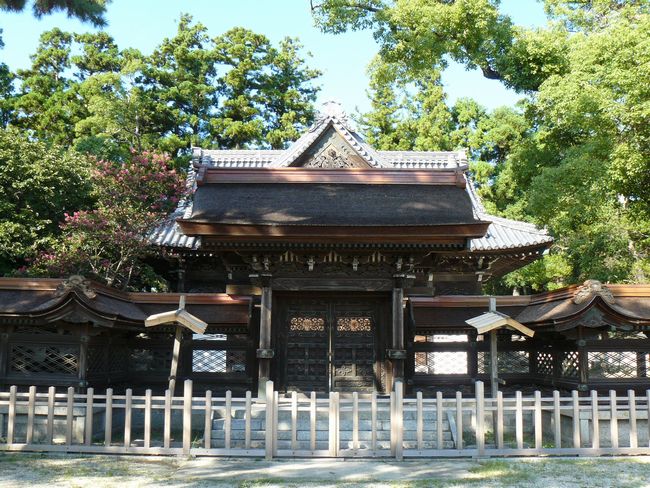 ��_�q���E����