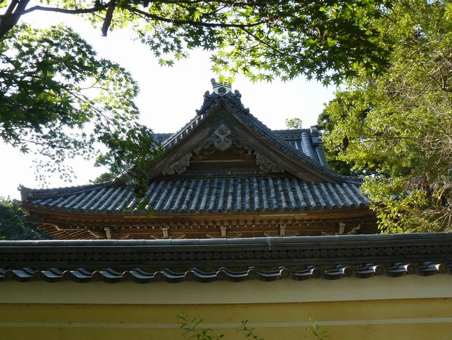 ��_�q���E����