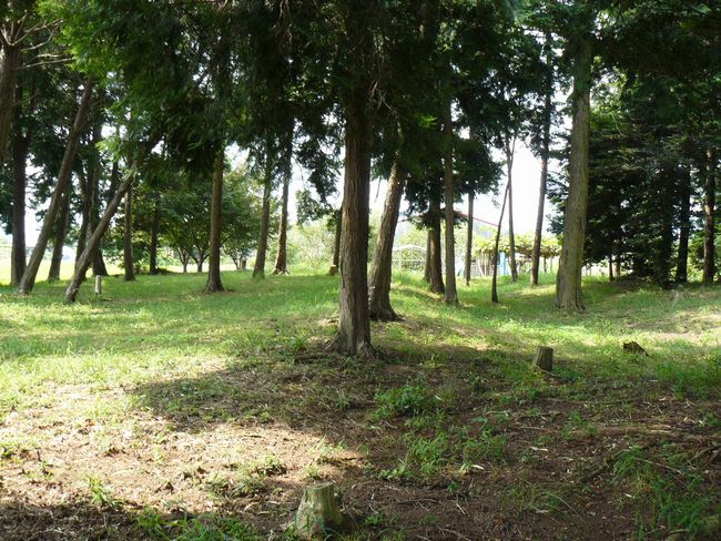 �ɐ����{������