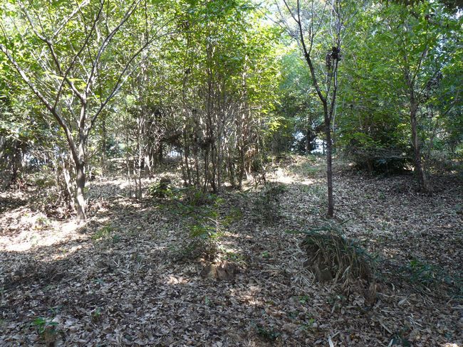 �����ˌÕ�