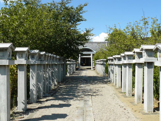 �䍲���m�_��