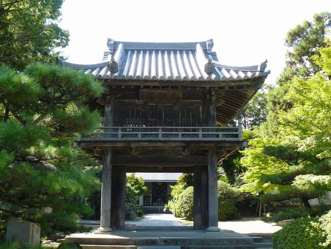 �l�V����