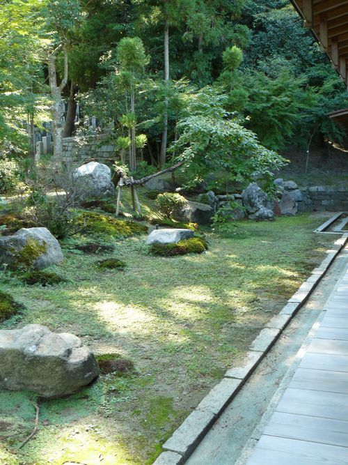 �l�V����