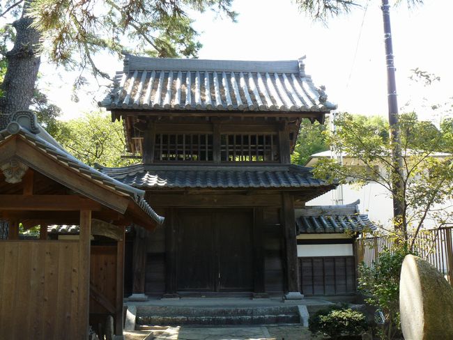 �l�V����