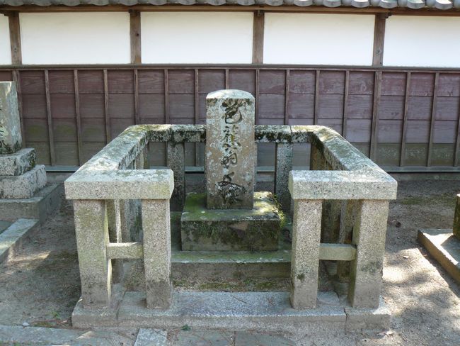 �l�V����