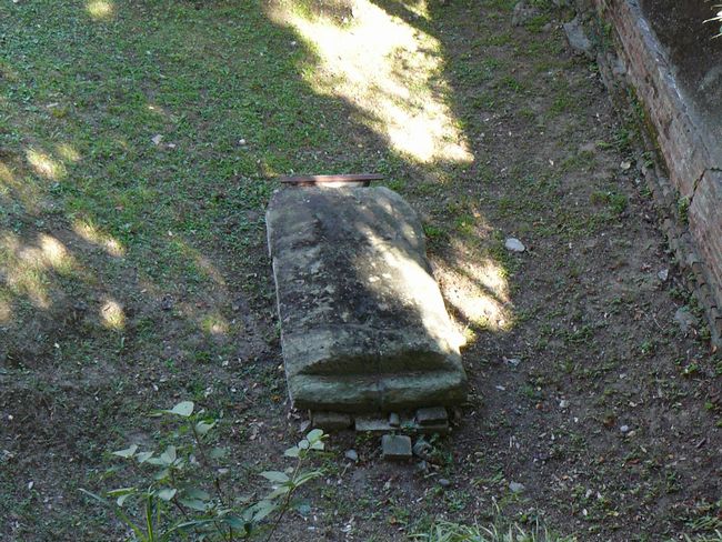 �����Õ�