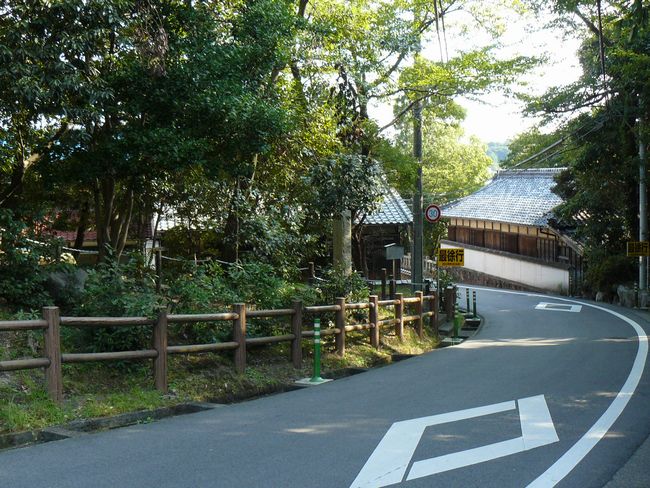 �ɐ���������