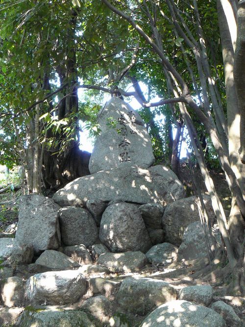 �ɐ���������