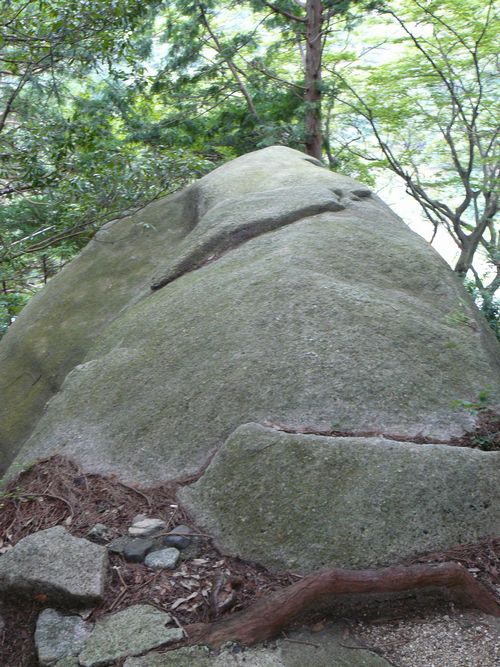 �单�V�i�^�΁j